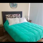 Departamento A Pasos De Playa, Casino, Quinta Vergara Reloj De Flores